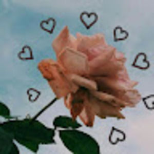 Meet your Posher, Valeria